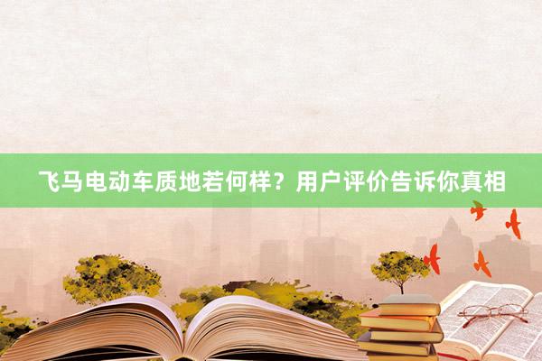 飞马电动车质地若何样？用户评价告诉你真相
