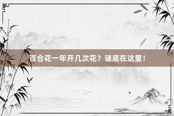 百合花一年开几次花？谜底在这里！